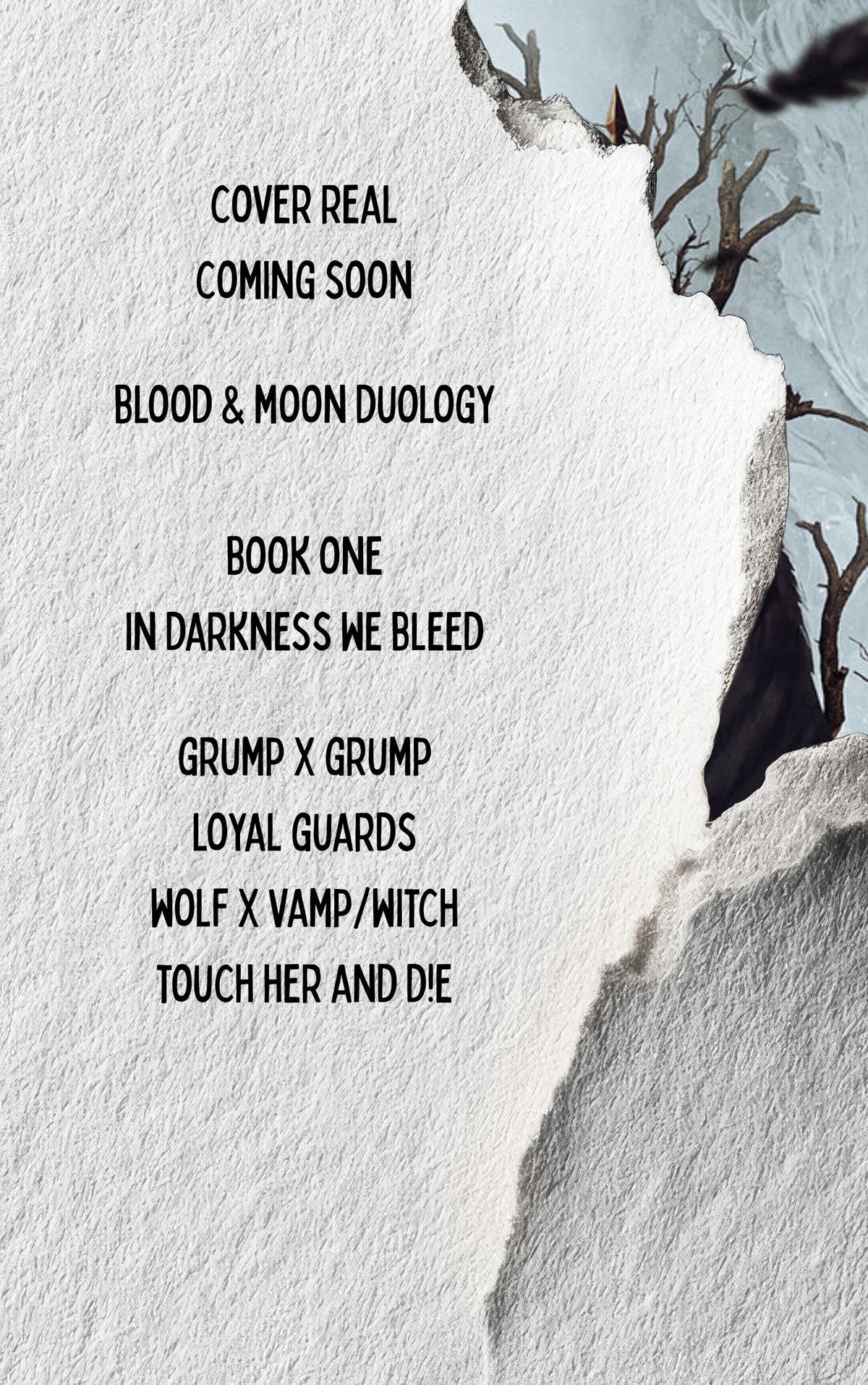 In Darkness We Rise - Blood and Moon Series Book Two