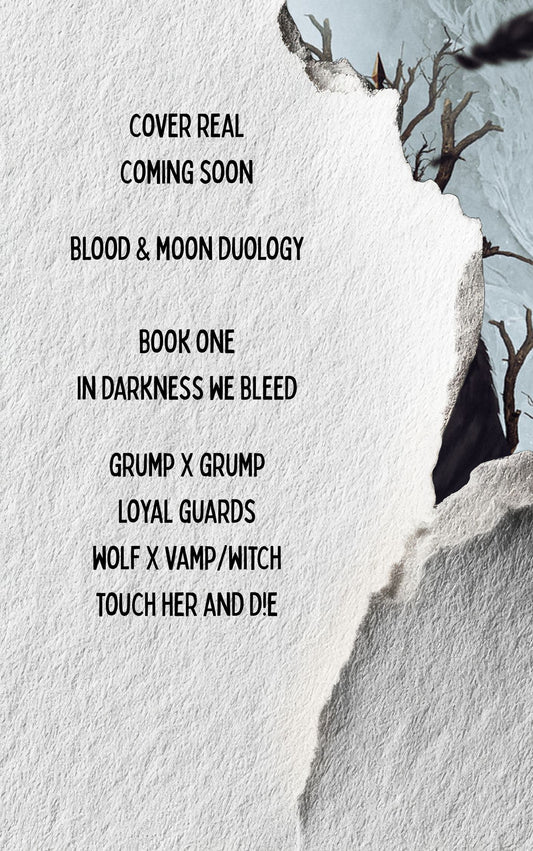 In Darkness We Rise - Blood and Moon Series Book Two